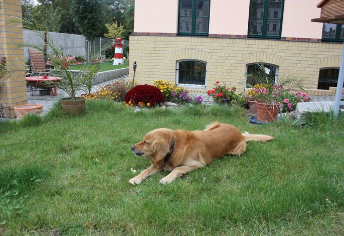 Bild 7