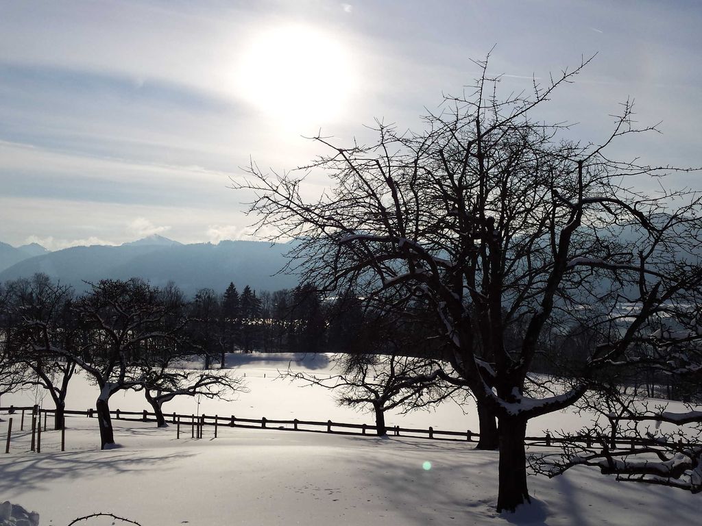 Garten im Winter