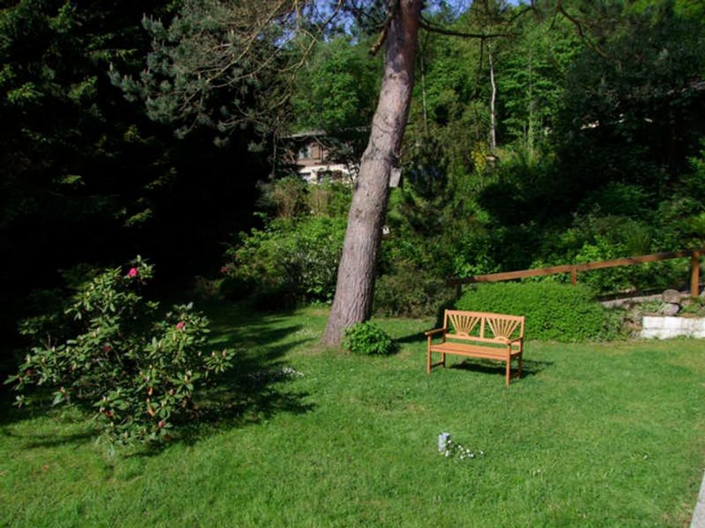 Blick in den Garten