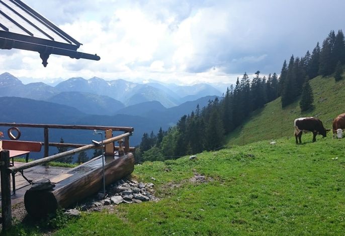 Bild 14