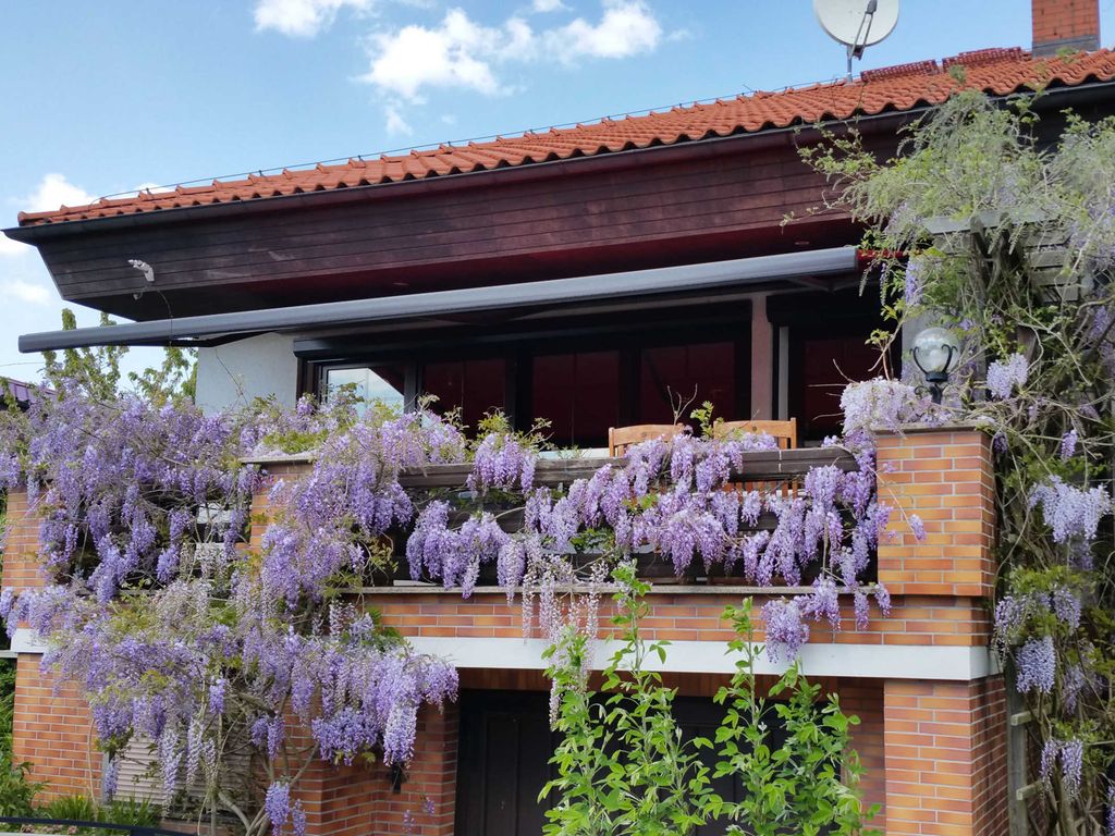 Ferienwohnung Töpfern und Meer