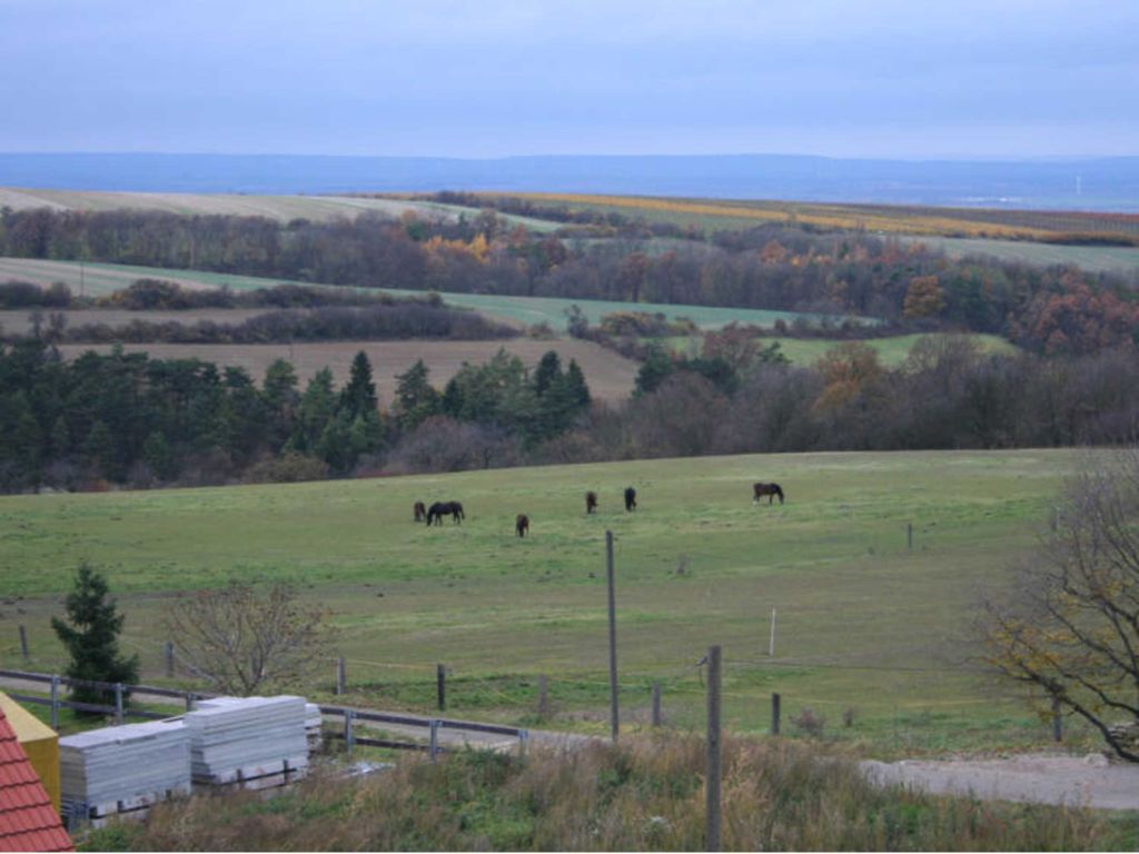 Aussicht