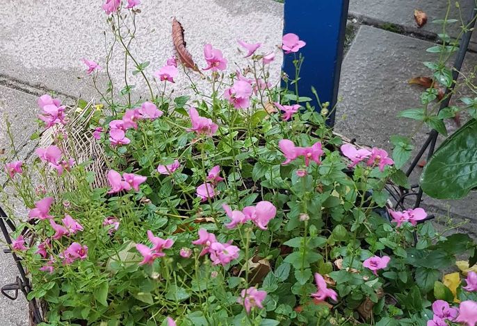 Bild 2