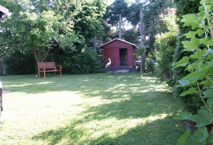 Bild 11