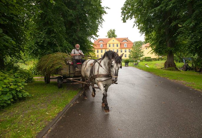 Willkommen auf Schloss Lühburg