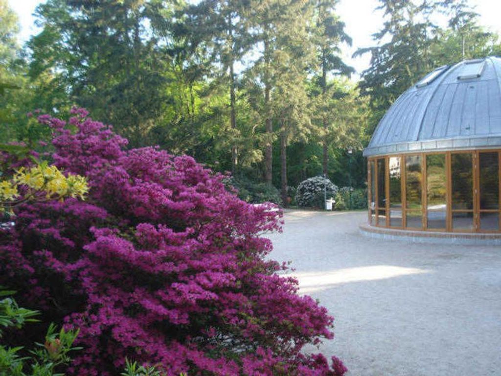 Rhododendronpark