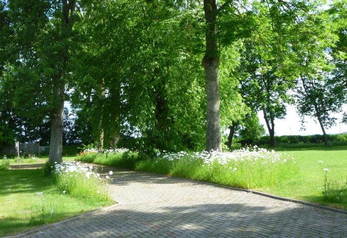 Bild 18