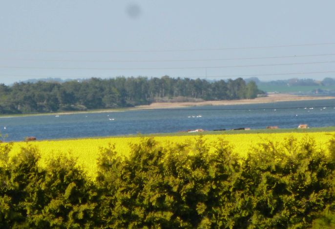 Bild 14