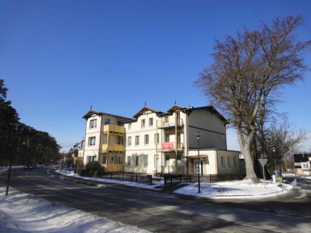 Ostseekrabbe 19