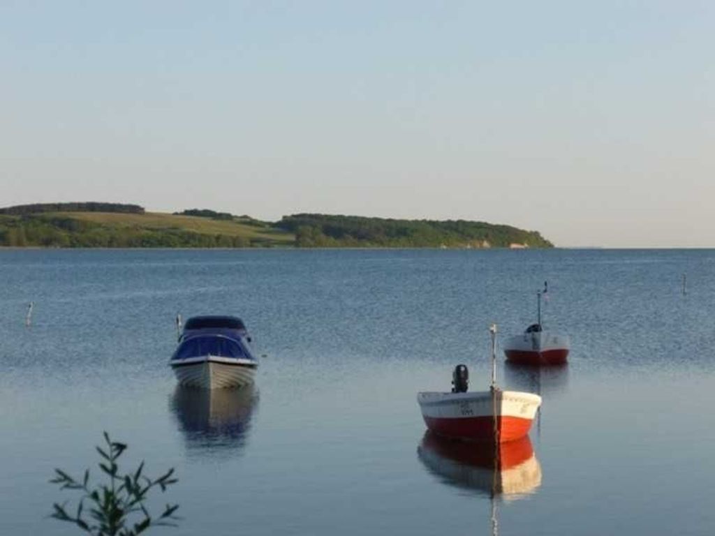 Blick über die Bucht  Wasservögel und Segelboote