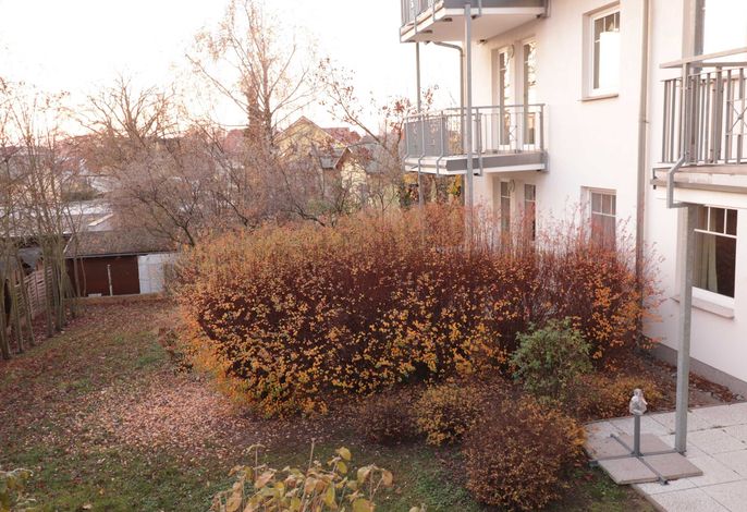 Bild 17