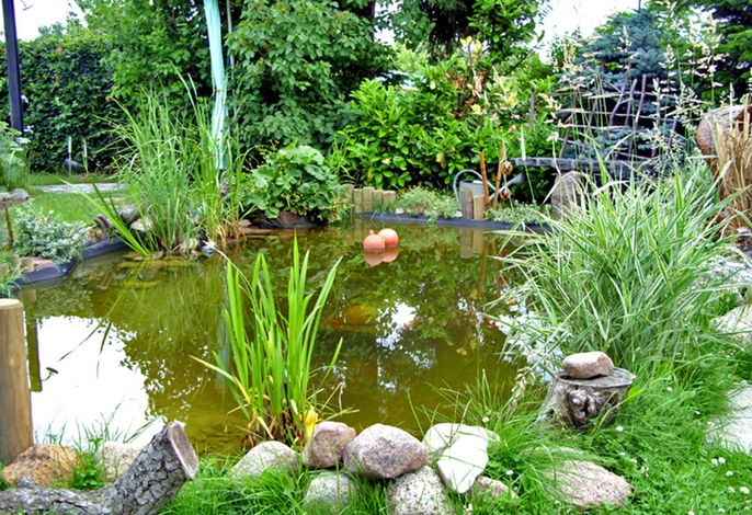 Bild 9