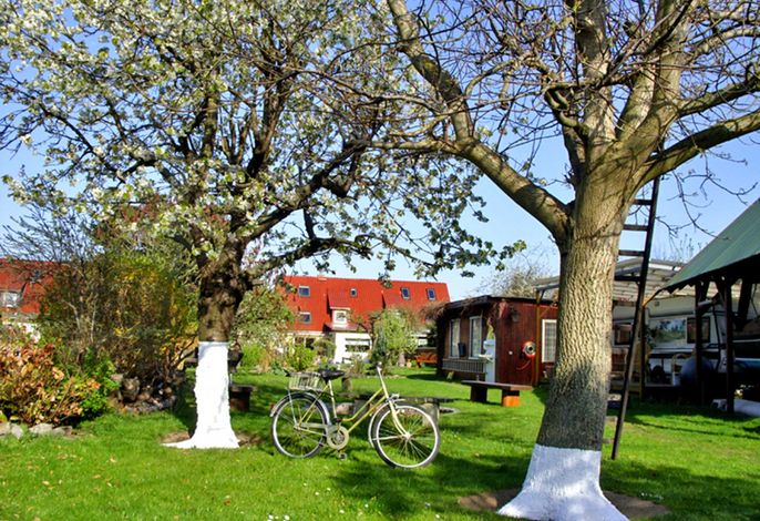 Ferienhaus Ursula – Foto 5