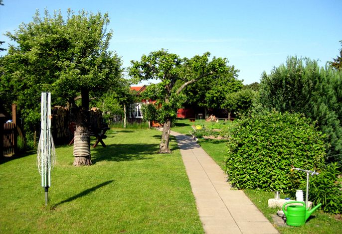 Bild 7
