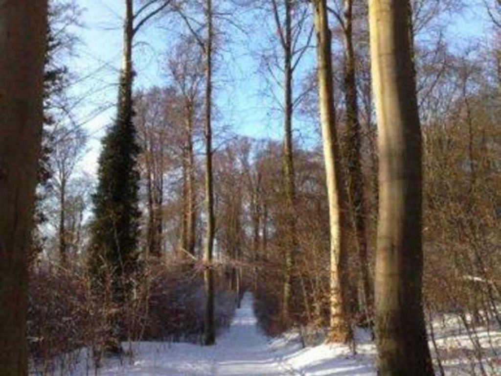 Waldweg