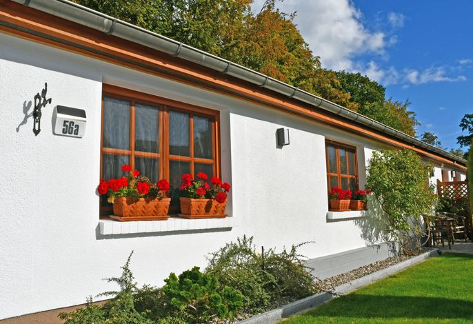 Ferienwohnung mit Terrasse an der Granitz