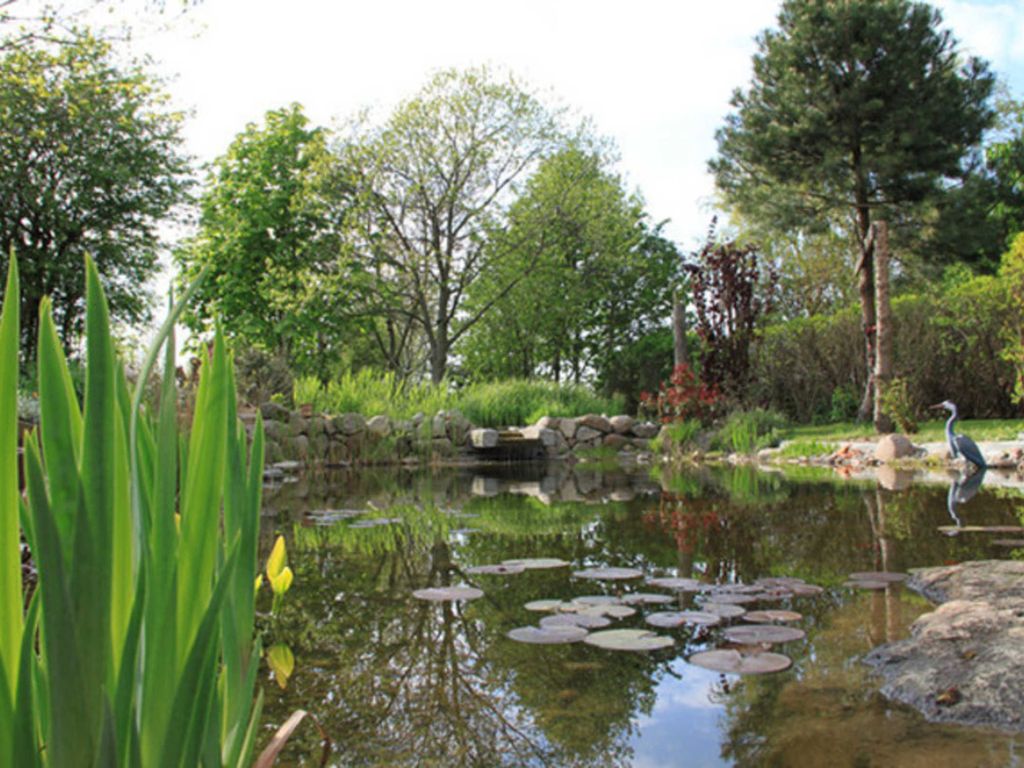 Teich auf dem Hof