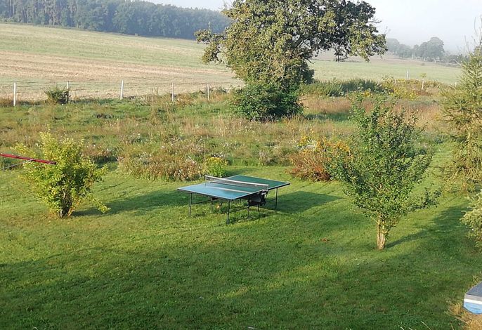 Bild 19