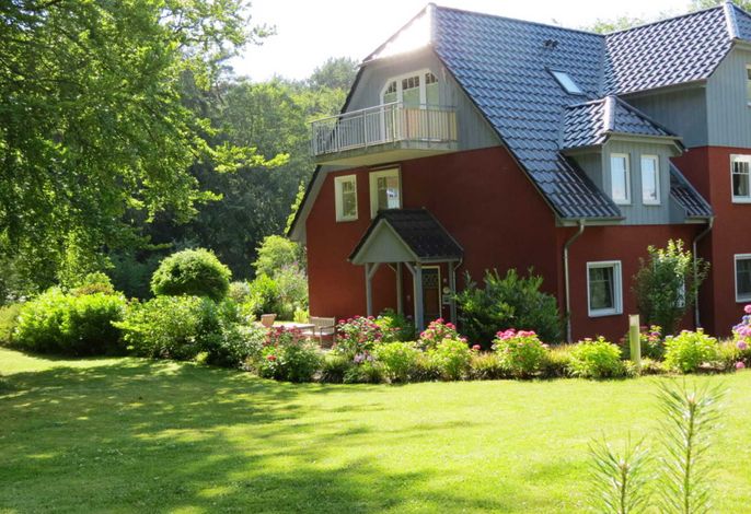 Silbermöwe