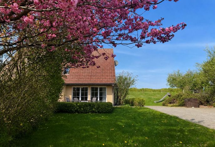 FH Sonnenblume - Fewo groß