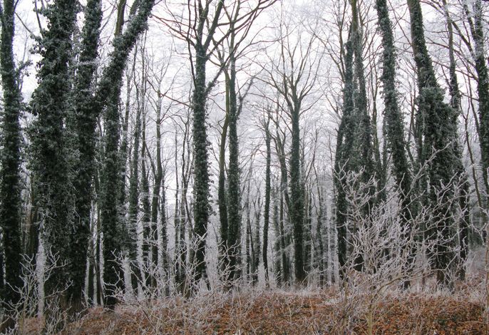 Bild 16