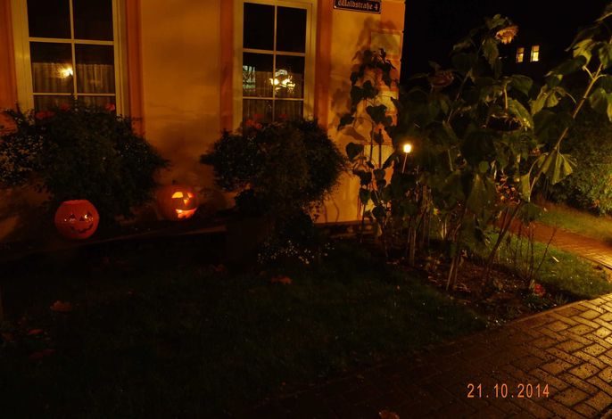 rollstuhlgerechte Ferienwohnung EG Bild 2
