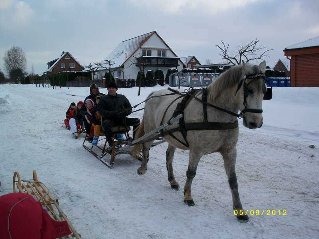 Schlittenfahrten in den Winterferien an der Ostsee