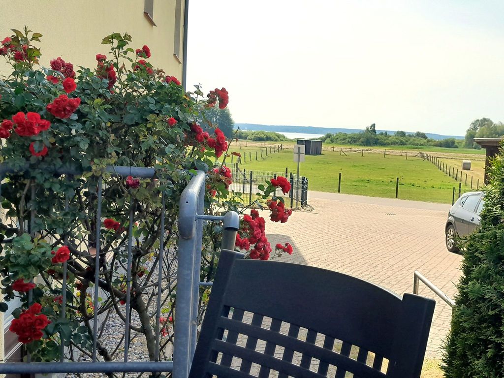 Blick von der Terrasse zum See