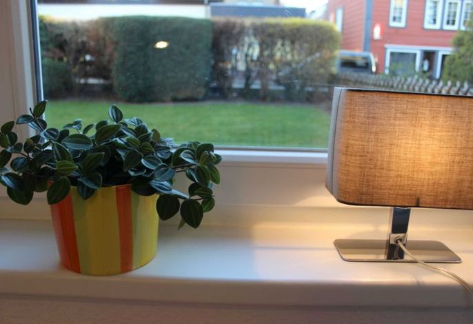 Ferienwohnung Arlt
