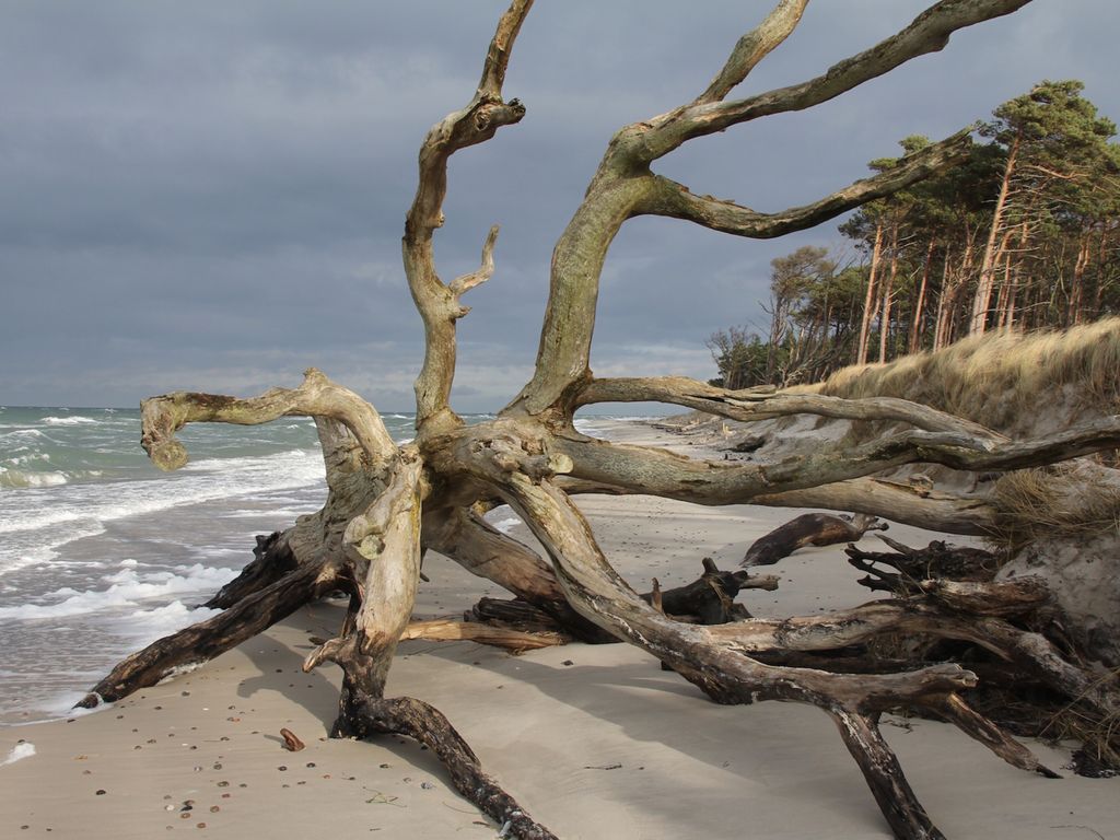 Weststrand