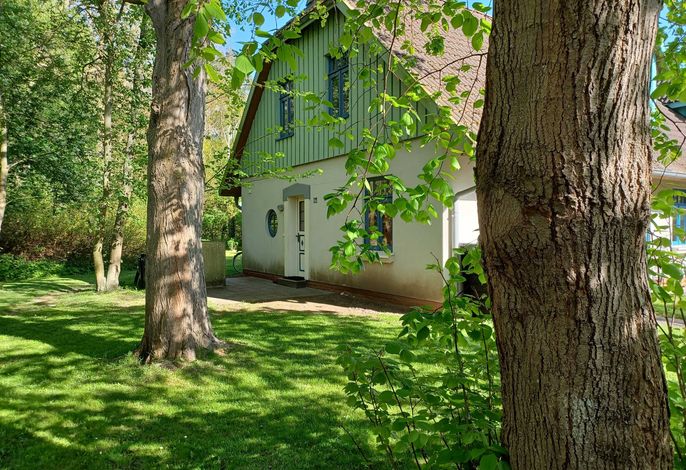 Strandperlen Weidenhof 8 A