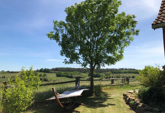 Weitblick