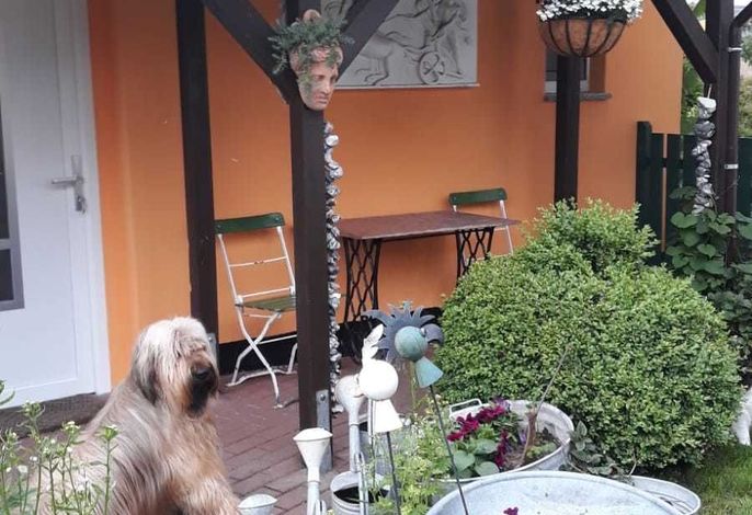 Bild 7
