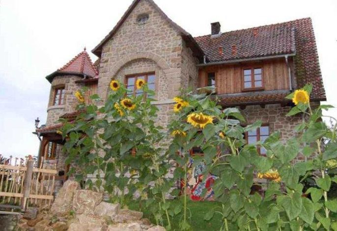 Bild 13