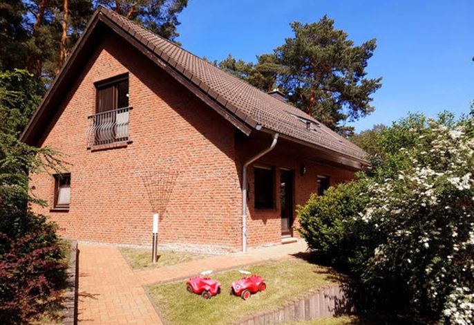 Ferienhaus am Dünenwald DH-45162