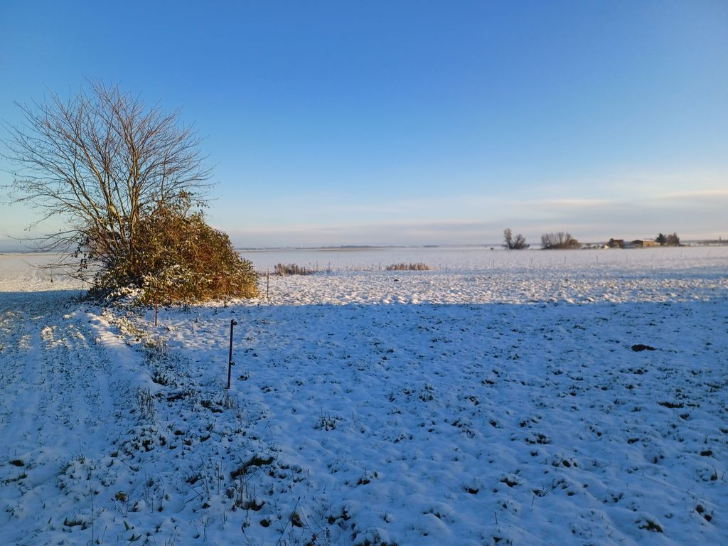 Blick über die Felder und Wiesen