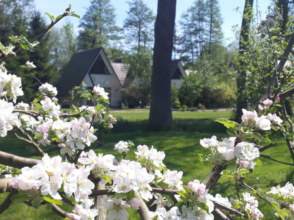 Blick durch die Blumen auf unsere Finhütten