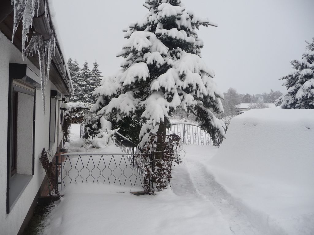 Bungalow