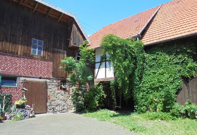 Bild 21