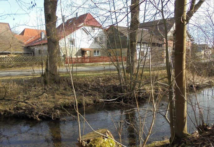 Bild 19