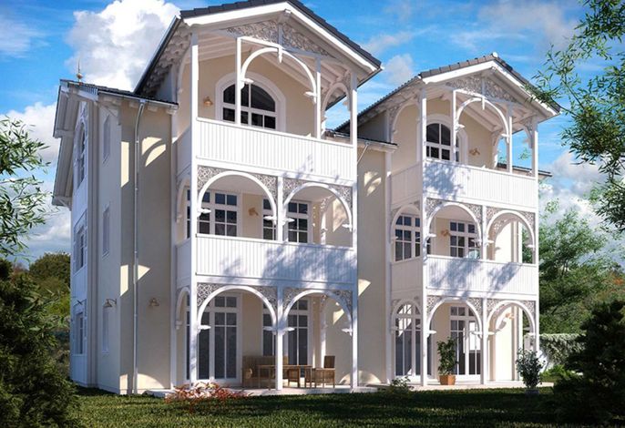 Sturmmöwe
