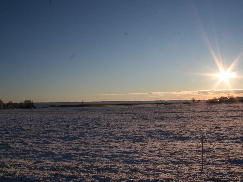 Blick über die Wiesen am Morgen