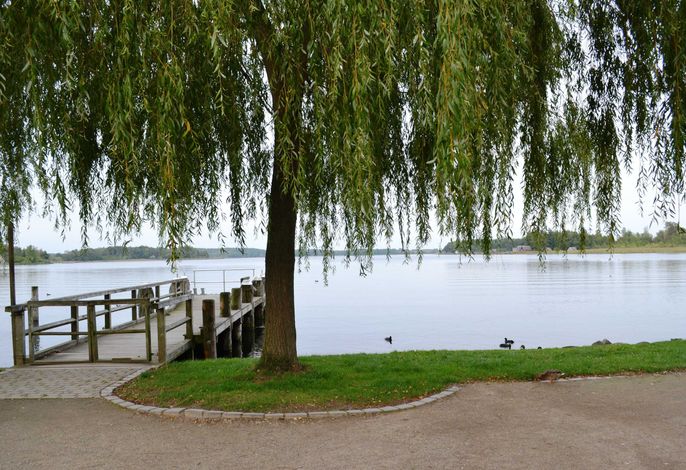 Ferienhaus Seeblick – Foto 5
