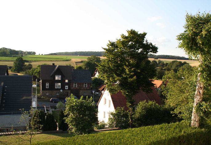 Bild 11