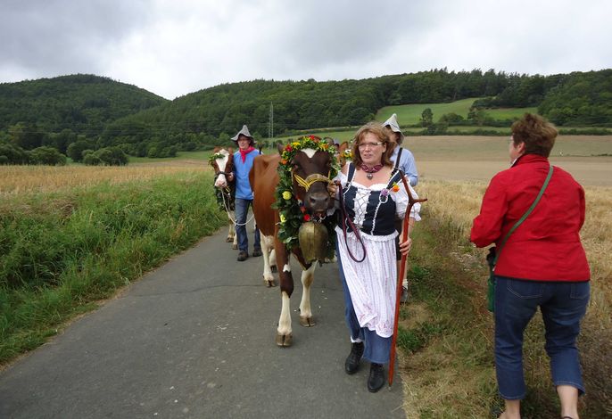 Bild 6