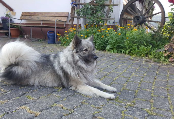Bild 11