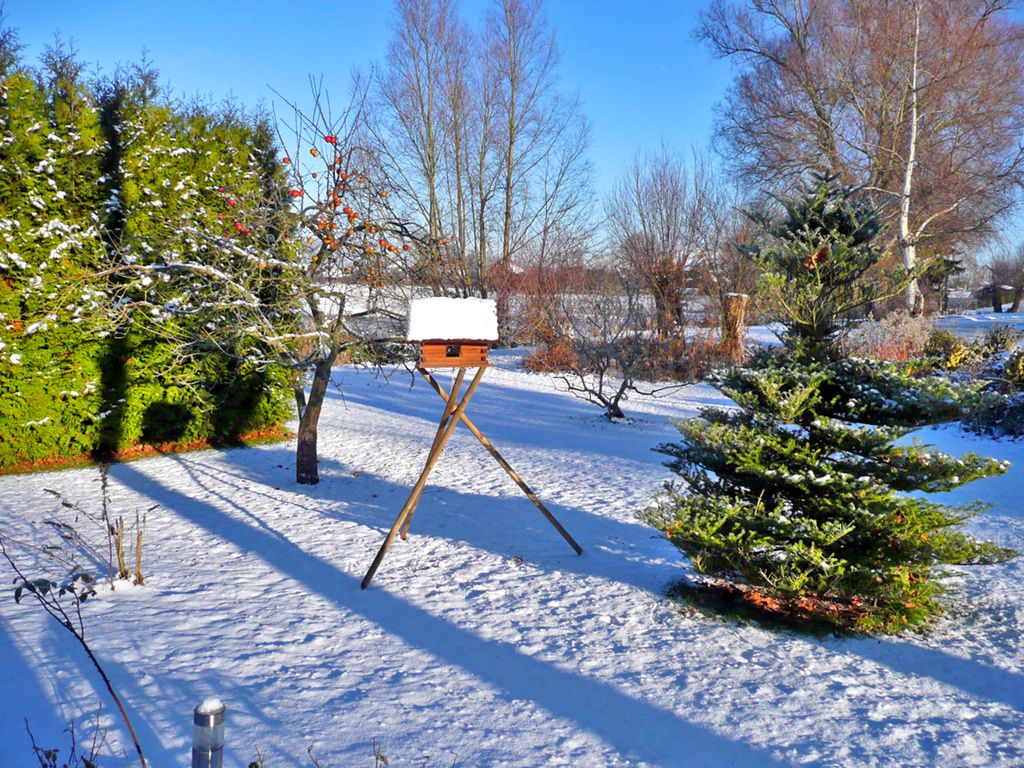 großer Garten im Winter
