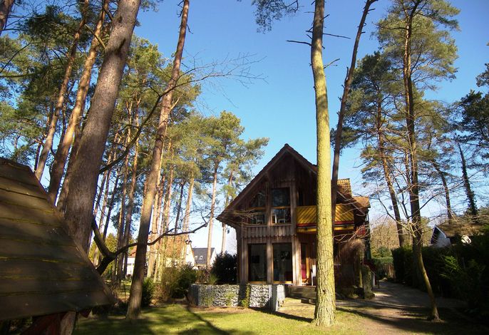 Bild 11