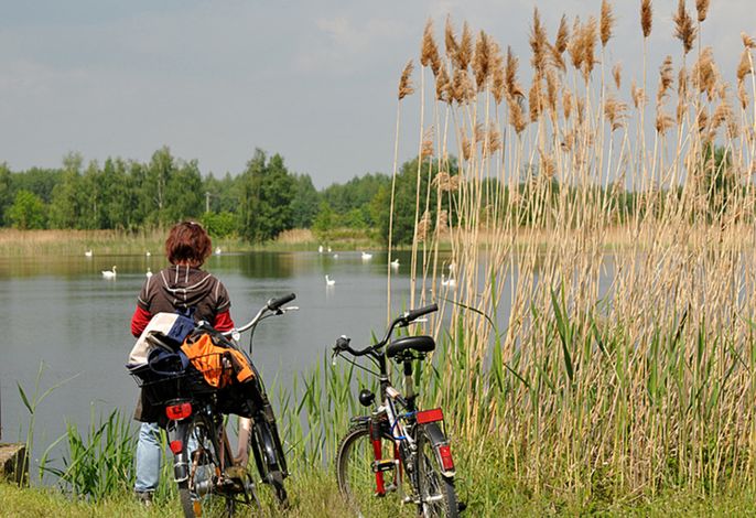 Natur pur zu Fuß oder mit dem Fahrrad erlebbar.