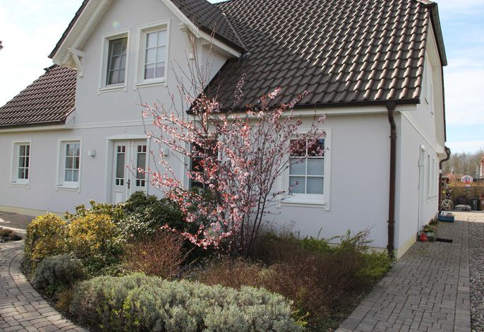Bild 15